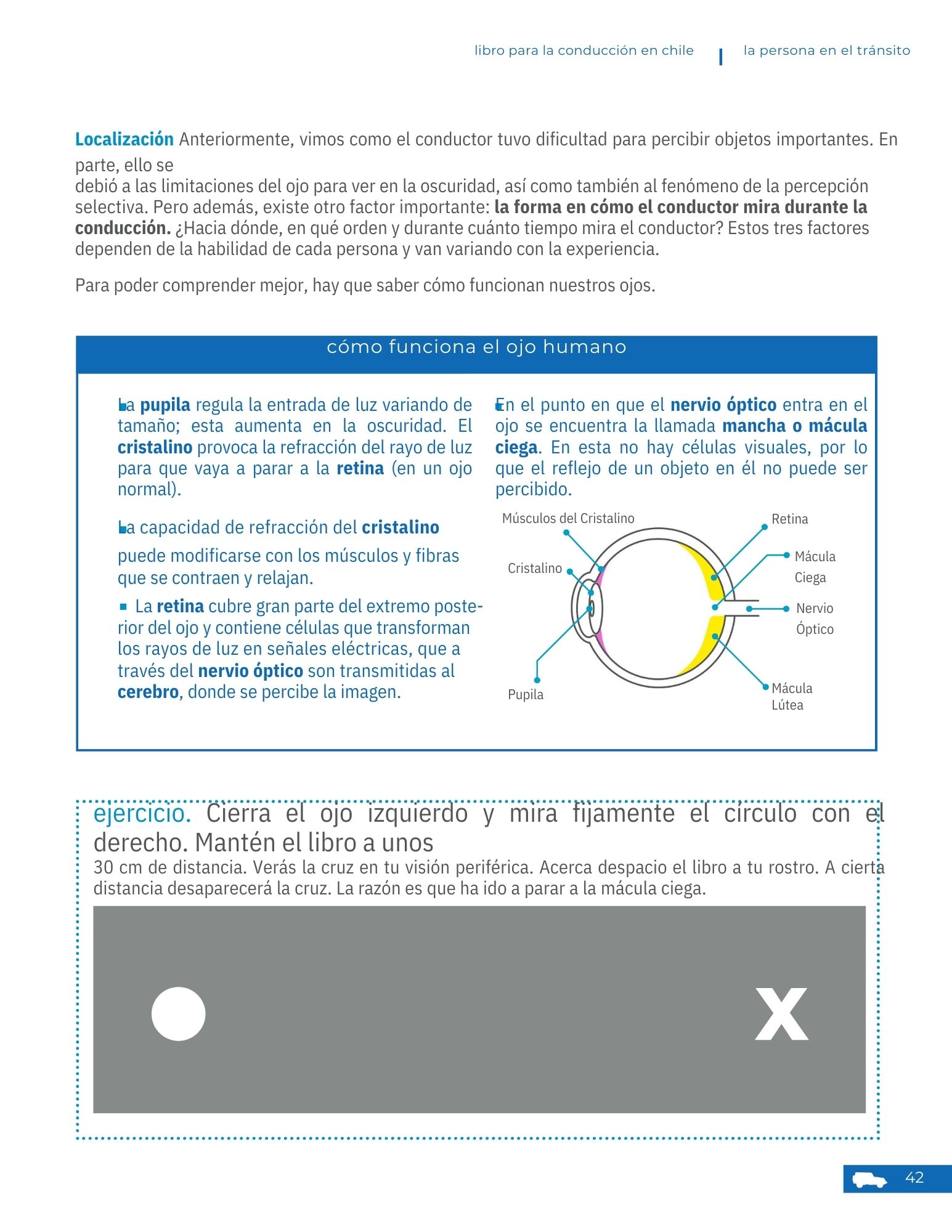 Página 7 - La persona en el tránsito